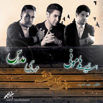 امیر و حمید هامونی