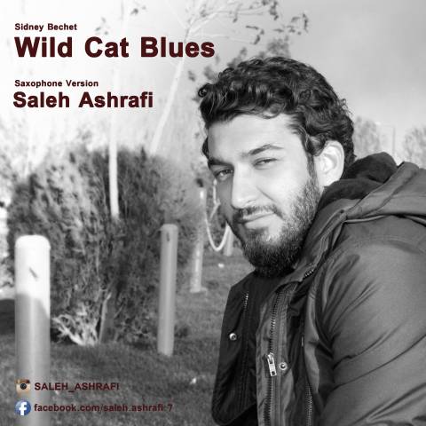 Wild Cat Blues