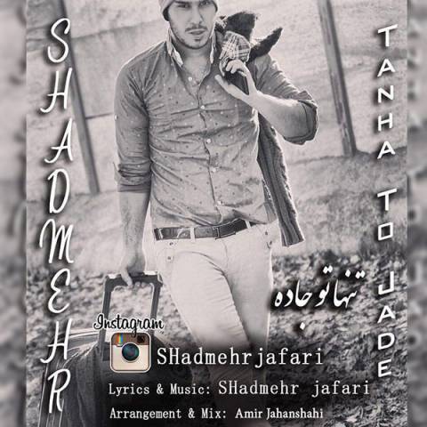 تنها تو جاده