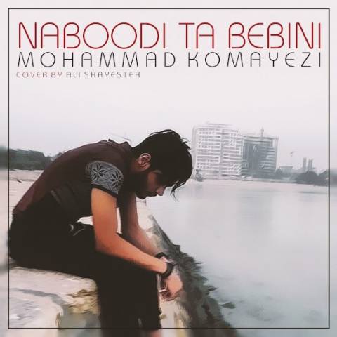 نبودى تا ببینی