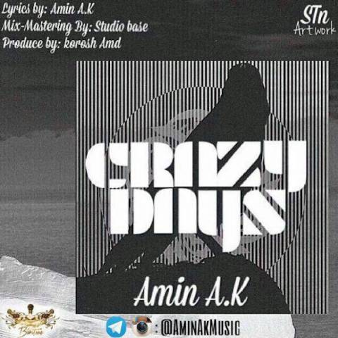 روزهای دیوونه