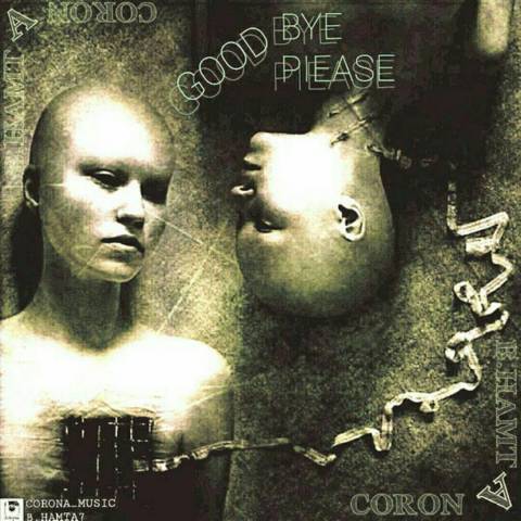 Good Bye Please