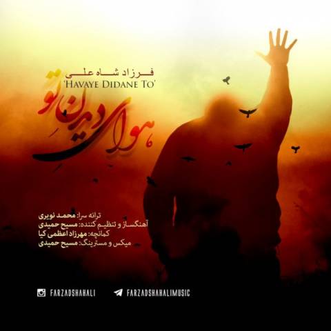 هوای دیدن تو