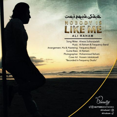 هیشکی شبیهم نیست