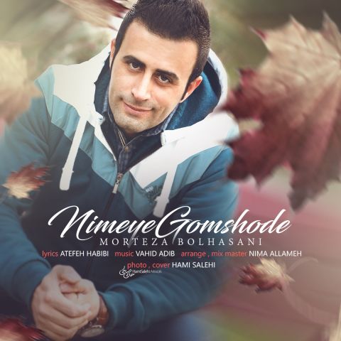 نیمه ی گم شده