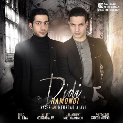 دیدی نموندی