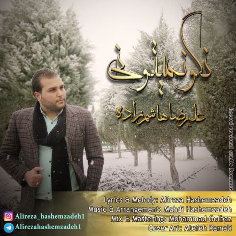 نگو نمیتونی