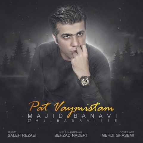 پات وایمیستم