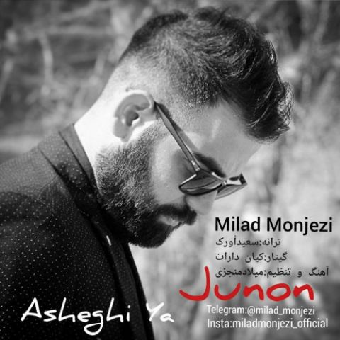 عاشقی یا جنون