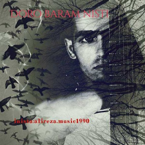 دور و برم نیستی