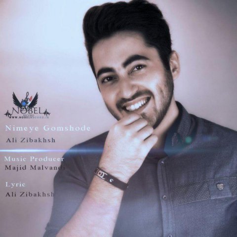 نیمه ی گمشده