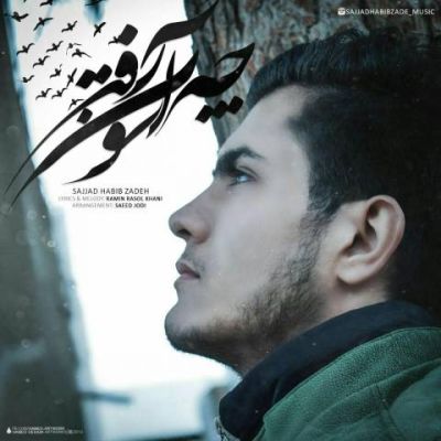 چه آسون رفتی