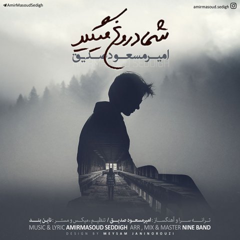 شما دروغ میگید