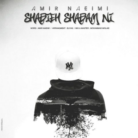 شبیه شبام نی