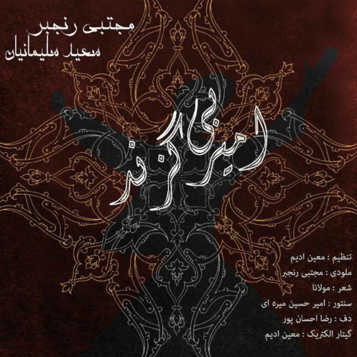 امیر بی گزند