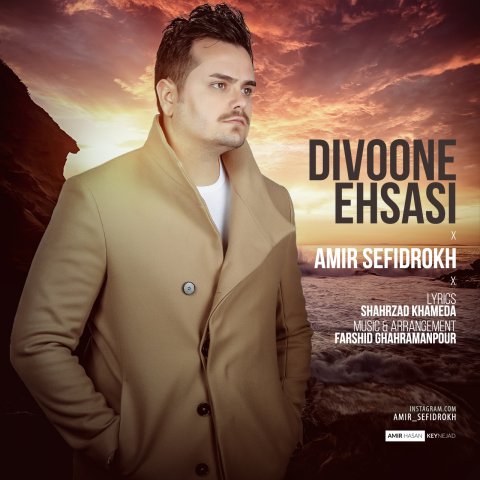 دیوونه ی احساسی