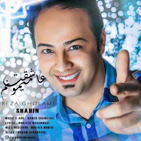 عاشقت میمونم