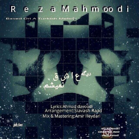 دیگه عاشق نمیشم