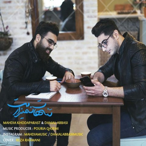 تنها نمیزارمت