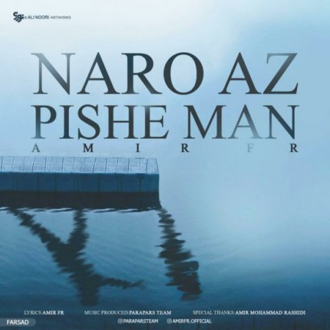 نرو از پیشه من