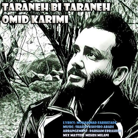 ترانه بی ترانه