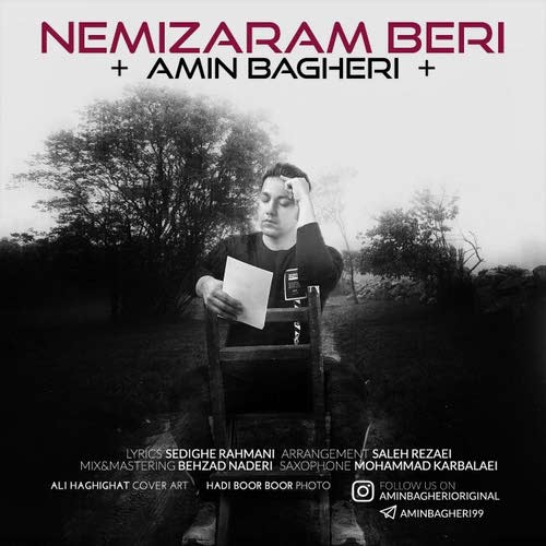 نمیذارم بری