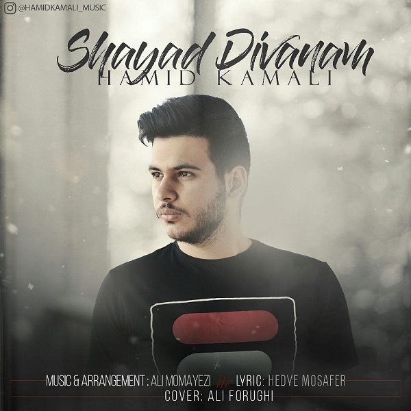 شاید دیوانم