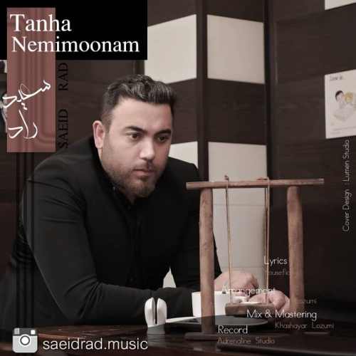 تنها نمیمونم