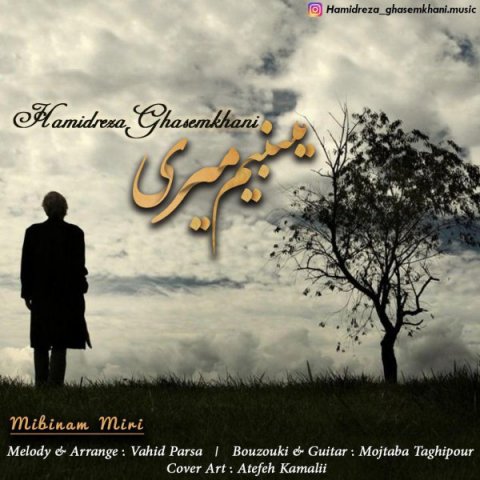 میبینم میری