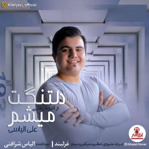 دلتنگت میشم