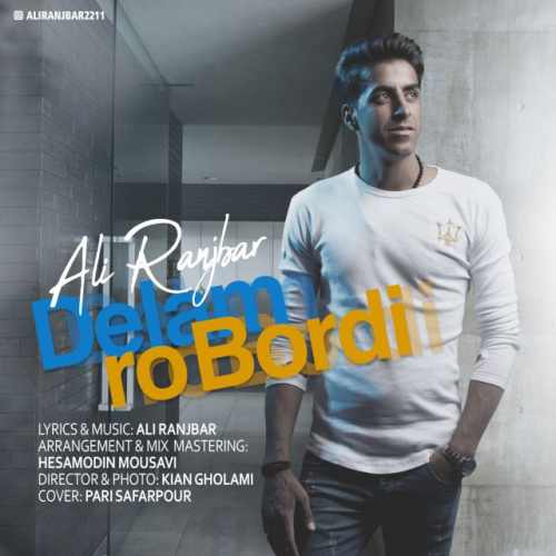 دلم رو بردی