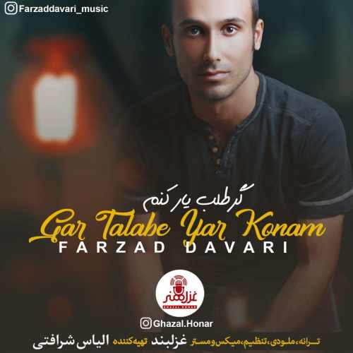 گر طلب یار کنم