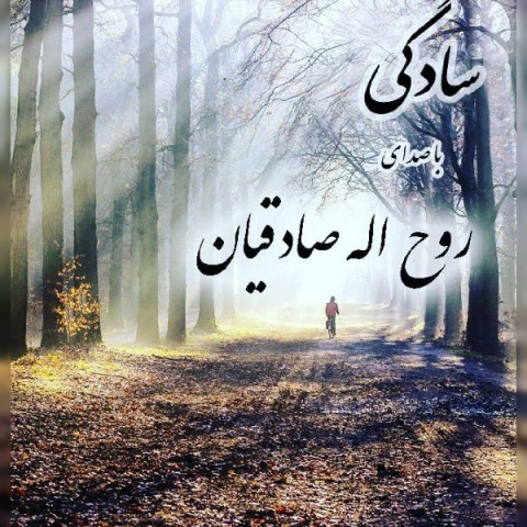 سادگی