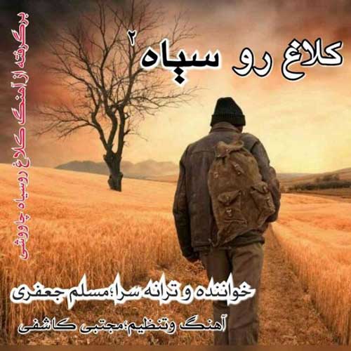 کلاغ رو سیاه ۲