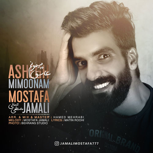 عاشق میمونم