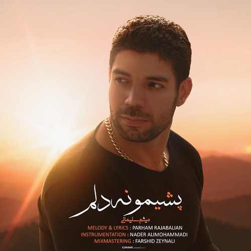 پشیمونه دلم