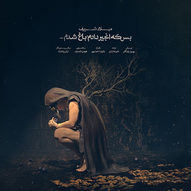 بس که انجیر دادم باغ شدم