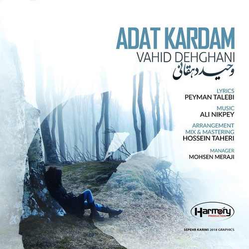 عادت کردم به تو