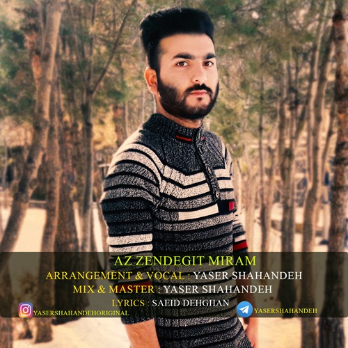 از زندگیت میرم