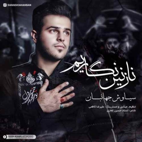 نازنین نگاریم