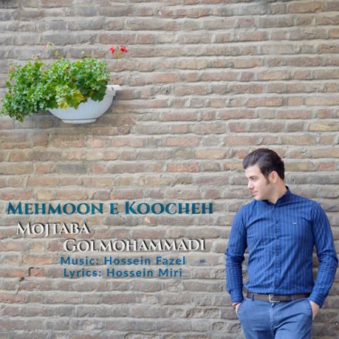 مهمونه کوچه