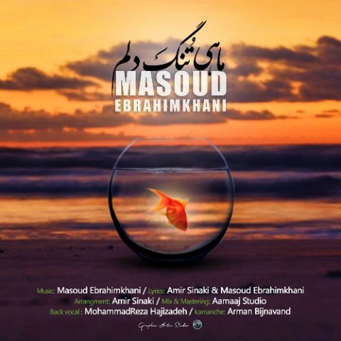 ماهی تنگ دلم