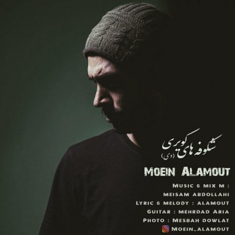 شکوفه های کویری (دی)