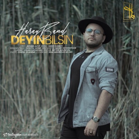 دیین بیلسین