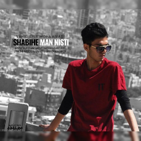 شبیه من نیستی