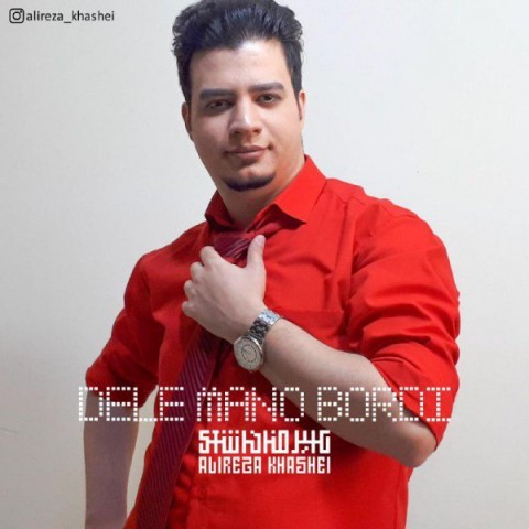 دل منو بردی