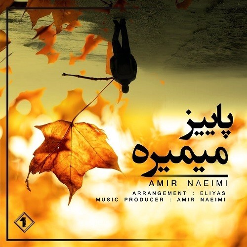 پاییزه میمیره