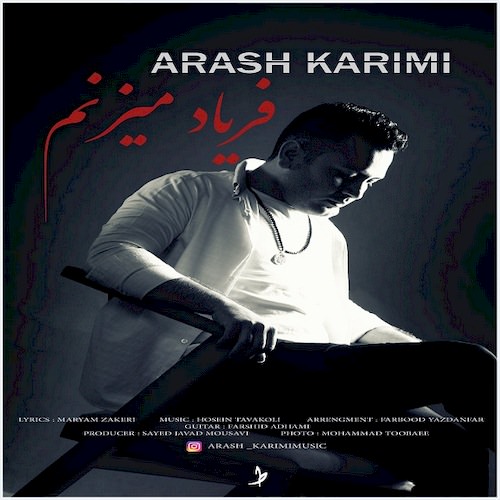 فریاد میزنم