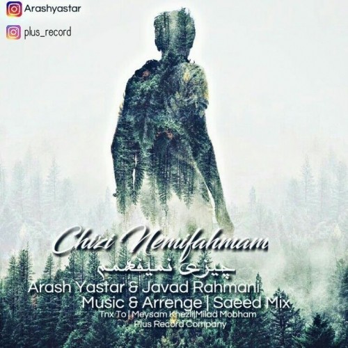 چیزی نمیفهمم