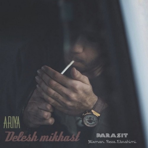 دلش میخواست